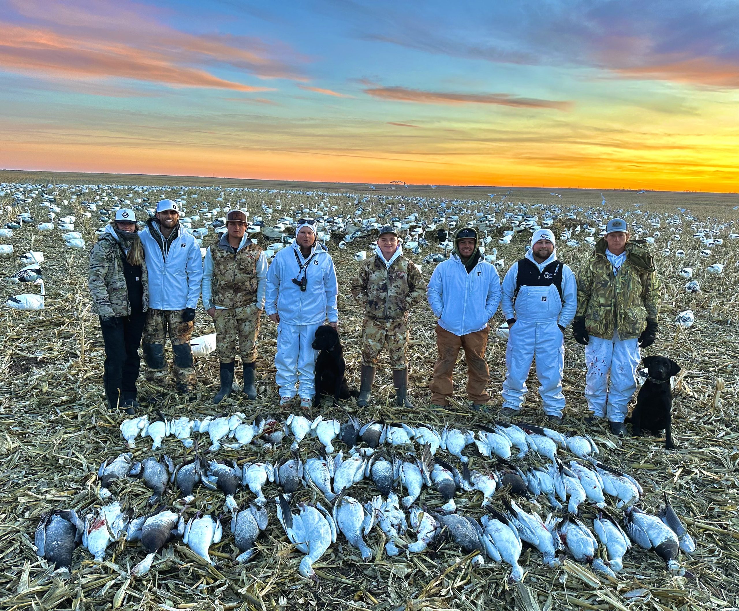 IMG_20260303_201910 South Dakota snow goose hunting guide