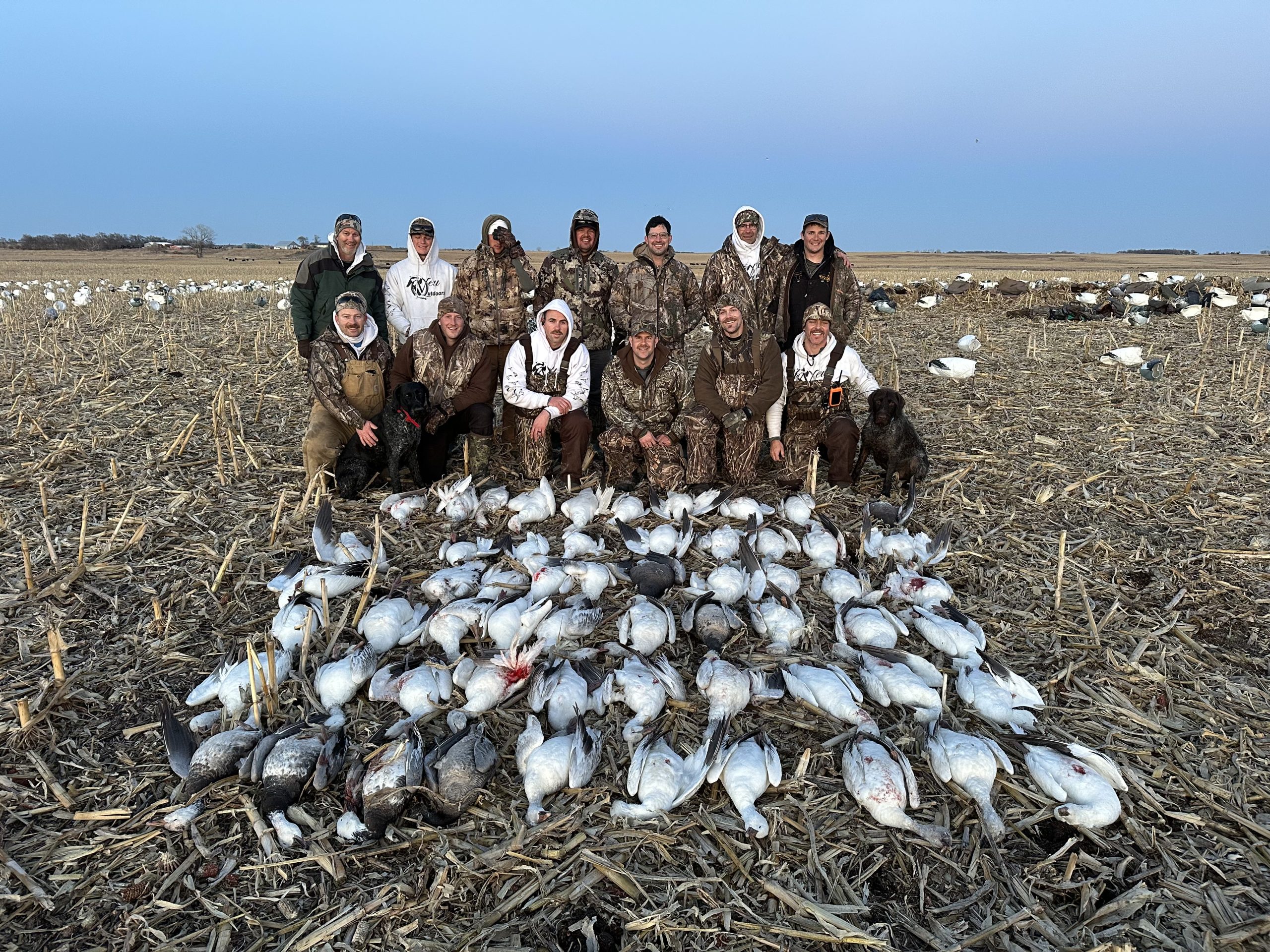 IMG_20260303_201910_(1) South Dakota snow goose hunting